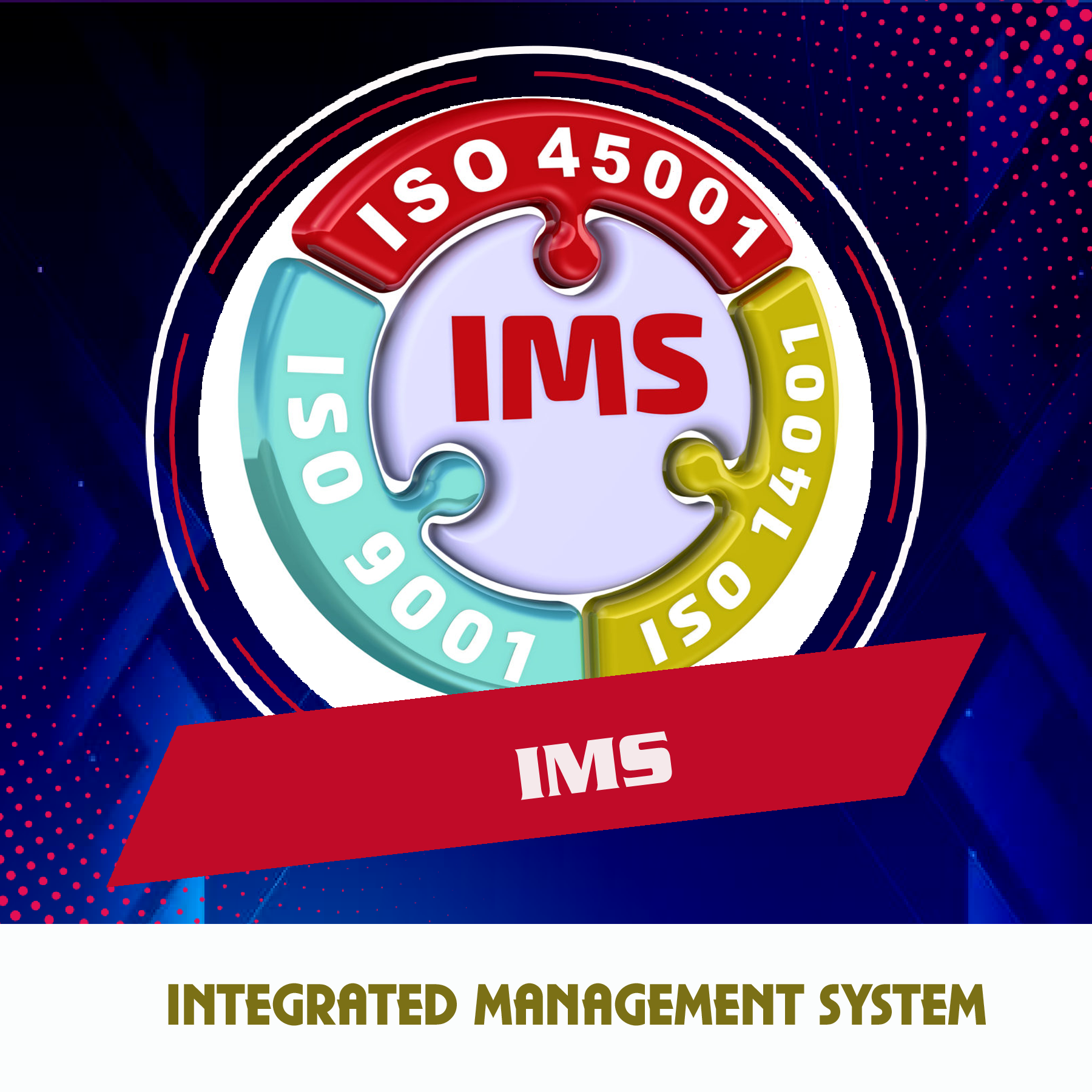 INTEGRATED MANAGEMENT SYSTEM 