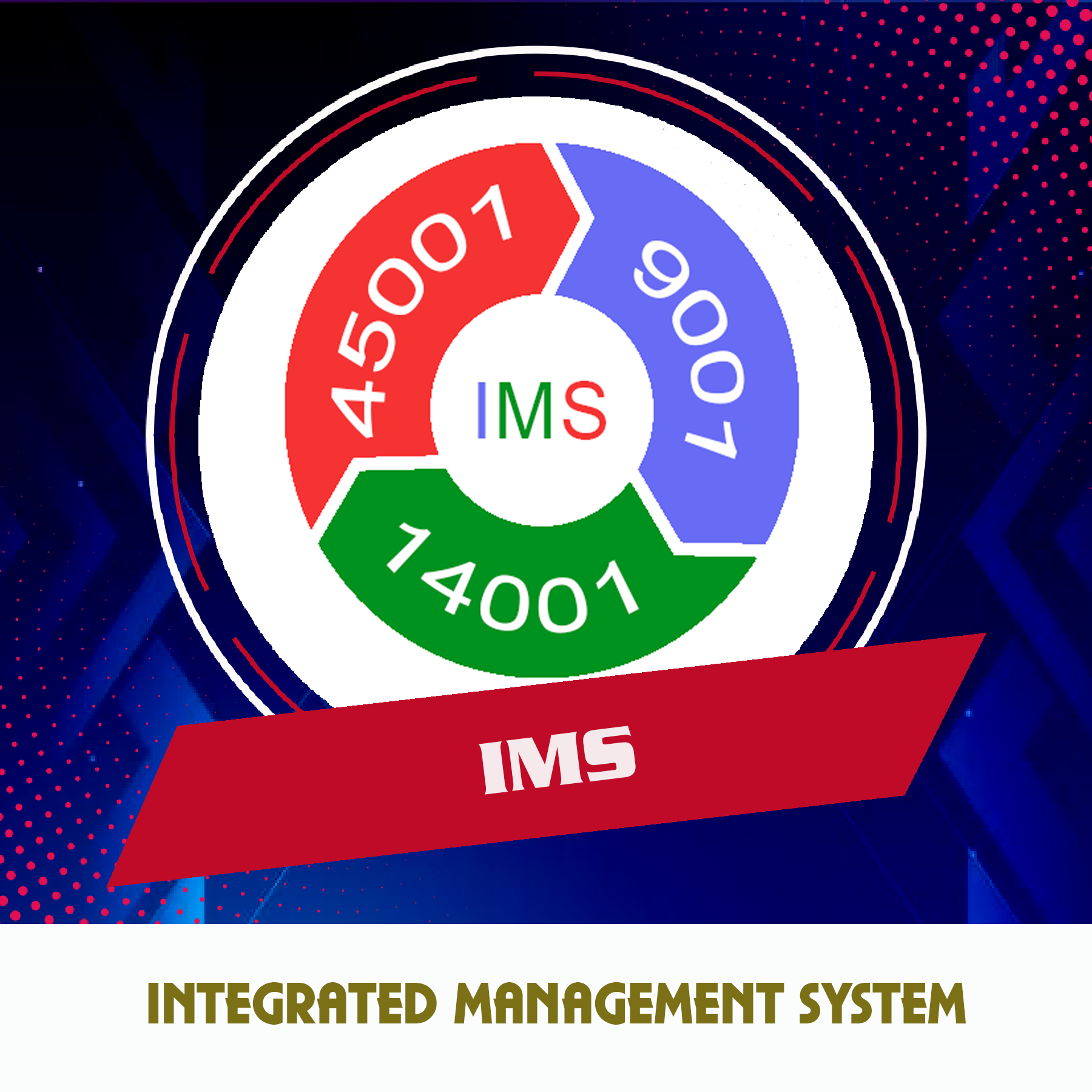 Common Benefits of an Integrated Management System: