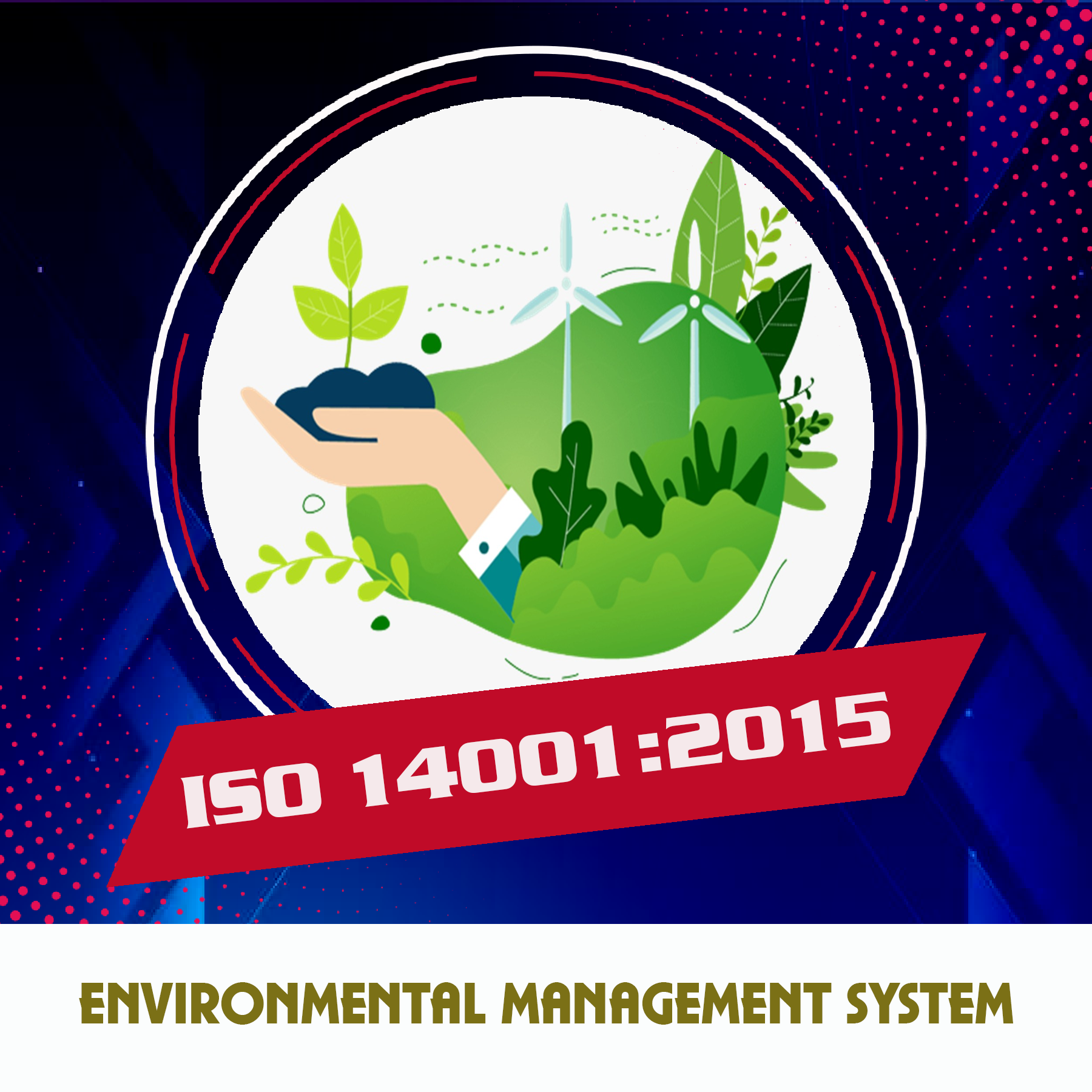 Environmental Management System Needs and Goals